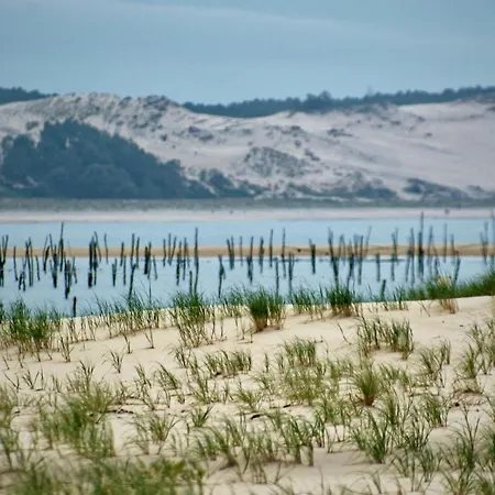 Entre Bassin Et Ocean Lège-Cap-Ferret